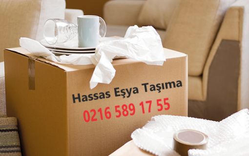  Hassas Eşya Taşımacılığı 